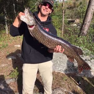 Meet your Posher, Joe